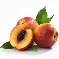 Peach Kernel Carrier Oil